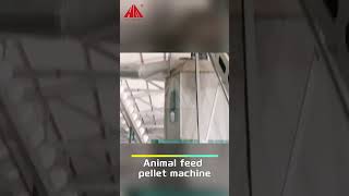 Pellet Feed Making Production Line for Animals #machine #poultry  #livestock #factory #unit #pellet