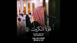 বাম দিকের লোকদের বর্ণনা 😭🥺 #shorts 4 #emotional_recitation #luhaidan#surahwaqiah #crying #recitation