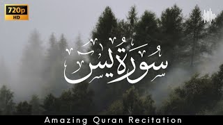 Quran peaceful Recitation by || Zain Abu kautsar || surah Yaseen