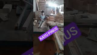 PRODUKSI KAYU PINUS #wood #woodworking