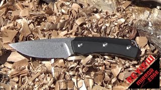 Kizer Task II Review