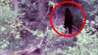 Bigfoot Sightings Caught on Tape Georgia Mountains