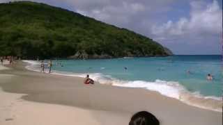 THINGS TO DO A MUST SEE coki beach AND Coral World St. Thomas, U.S. Virgin Islands