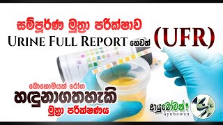 සම්පූර්ණ මුත්‍රා පරීක්ෂාව |Urine Full Report | UFR|MLTAnushika Perera #UFR #Urine Full Report