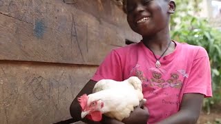 Gifts for Good - Chickens