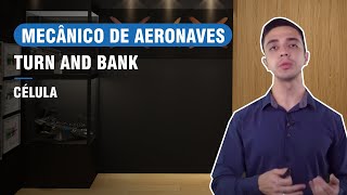 TURN AND BANK - CURSO DE MECÂNICO DE AERONAVES (CÉLULA)