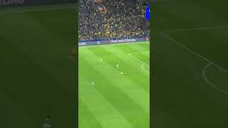 Champions League | Borussia Dortmund vs. Newcastle United 2:0 by Julian Brandt 79. Min | 07.11.2023