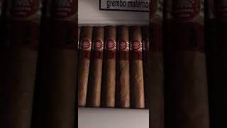 Royal Robusto