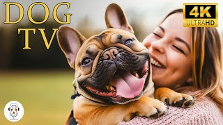 Soothing Music for Dogs to Calm Down, Relax & Sleep | Dog Music Therapy Calming Relaxation