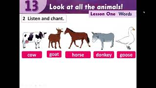 Level 2 - Unit 13 - Part A (Vocabulary) - Look at all the animals!