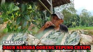 BERBURU DI ALAM LIAR !! TERNYATA DAUN INI BISA DI MAKAN DAN DI JADIKAN TEMAN NASI