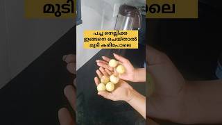 പച്ച നെല്ലിക്ക ഇങ്ങനെ ചെയ്താൽ /poppy vlogs