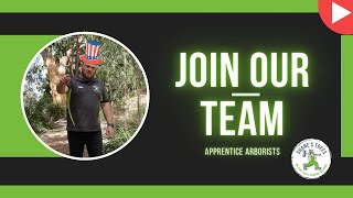 Join Our Team - Shane's Trees