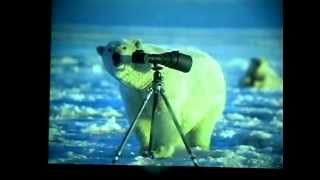 The Last Polar Bear: Facing the Truth of a Warming World