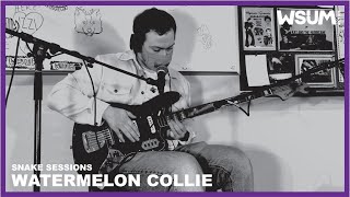 WATERMELON COLLIE | SNAKE SESSIONS LIVE @WSUM