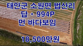 [딸기233]충남 태안군 소원면 법산리 *답 993평 딸기공인중개사 041.662.0880