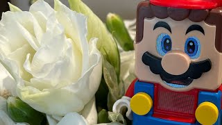 JKusinamics is live! Lego Mario Interactive Live Stream!