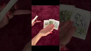 🔥💯 В ЧЕМ ЖДЕТ УДАЧА В БЛИЖАЙШЕЕ ВРЕМЯ✨🔮 В ЧЕМ ПОВЕЗЕТ🌞  #shortvideo #tarot #гадание #таро