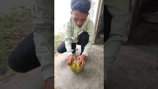 mencari durian di pedalaman hutan part 1