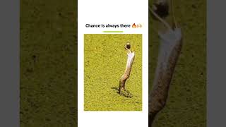 Chance is always there..never give up