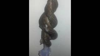 Funny slug sex