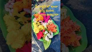 #shorts Garden లో పువ్వుల వర్షం కురవాలంటే ఈ క్రింద ఇచ్చిన link click చేసి follow అవ్వండి 👇Beautiful