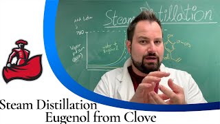 Steam Distillation of Eugenol