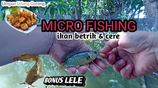 TES UMPAN UDANG GORENG || MICRO FISHING