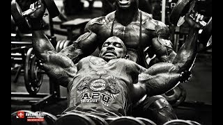 TOP 4 Bodybuilders  In 2017.