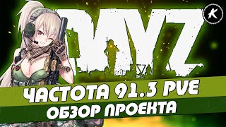 DAYZ | ОБЗОР ПРОЕКТА ЧАСТОТА 91.3 PVE | БОТЫ, МУТАНТЫ #dayz