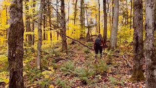 Hiking in a jungle with beautiful moments 🔥💕💫👍