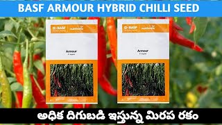 BASF ARMOUR HYBRID CHILLI SEEDS || రోగాలను తట్టుకొని అధిక దిగుబడి ఇచ్చే మిరప రకం