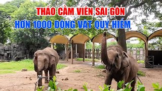 Tham quan Thảo Cầm Viên Sài Gòn 2023 - có hơn 1000 loài động vật, thực vật quý hiếm