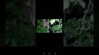 Real! Penampakan Pocong terakam camera