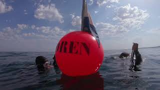 Diving in the Atlantic Ocean, Basque Coast, France - August 2020