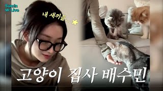 [스테이씨] 고양이 세 마리 집사 배수민🐈