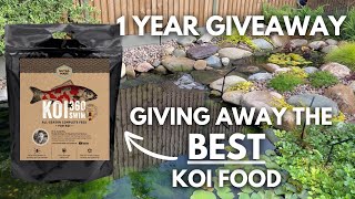 My pond is 1 year old! Giving away the best koi food!