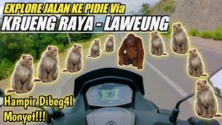 EXPLORE JALAN TERCEPAT KE SIGLI VIA  KRUENG RAYA LAWEUNG ‼️HAMPIR DIBEG4L MONYET | MOTOVLOG ACEH