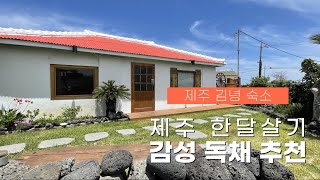 제주 김녕 역대급 감성 독채 숙소 🏡 제주 돌담과 자쿠지 그리고 루프탑까지 완벽한 제주 한달살기 숙소 추천ㅣ리브애니웨어