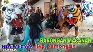 BARONGAN MACANAN NEW PANDAWA LIVE PAMONGAN