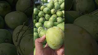 Mangga Rujakan