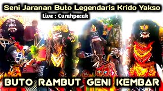 Aksi Seru Buto Legend Rambut Geni Kembar Jaranan Krido Yakso live Curahpecak Purwoharjo