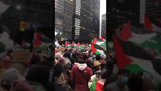 Younge Dundas Square ( Downtown Toronto) @aikaampakistani9944