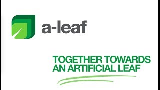 A-LEAF – Together towards an artificial leaf