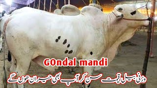 Today gondal mandi attock| gondal mandi attock latest update 2024|Badwal Desi vlog|