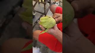 amazing fruits | amazing fruits cutting #food #shorts