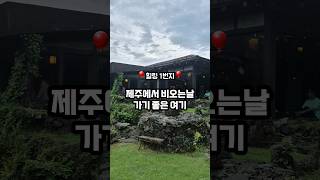 제주에서 손가락에 꼽는 운치있는 카페  바로 여기우다여기 🙋‍♀️제주 곶자왈을 품은 고즈넉한 한옥카페 #제주맛집   #도민맛집  #제주카페 #제주한옥카페  #제주전통카페 #제주야원