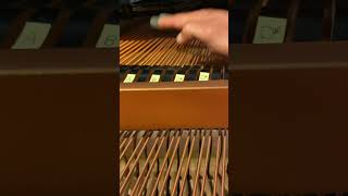 Crumb: Makro Bk. 1 “Scorpio” teaser #music #classicalmusic #pianist