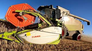 Moisson 2022 en Haute Marne Claas Lexion 550