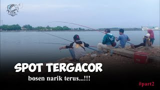 Mancing Baronang bikin Capek STRIKE terus